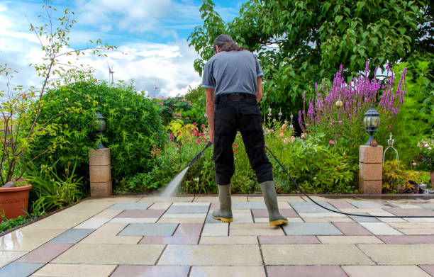 Animal Enclosure Cleaning in Pleasant Gap, PA